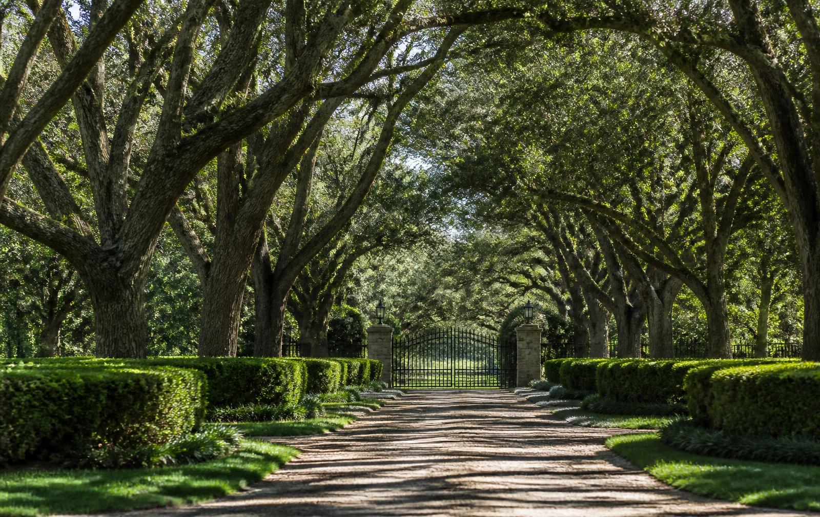 An oak-lined private estate driveway leading to iron gates in Quail Hollow